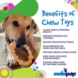 Chicken Flavored Teething Ring for Puppies & Aggressive Chewers | USA Made - SodaPup/True Dogs, LLC - Flyclothing LLC