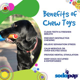 Hot Dog Nylon Dog Toy for Aggressive Chewers | USA Made | SodaPup - SodaPup/True Dogs, LLC - Flyclothing LLC