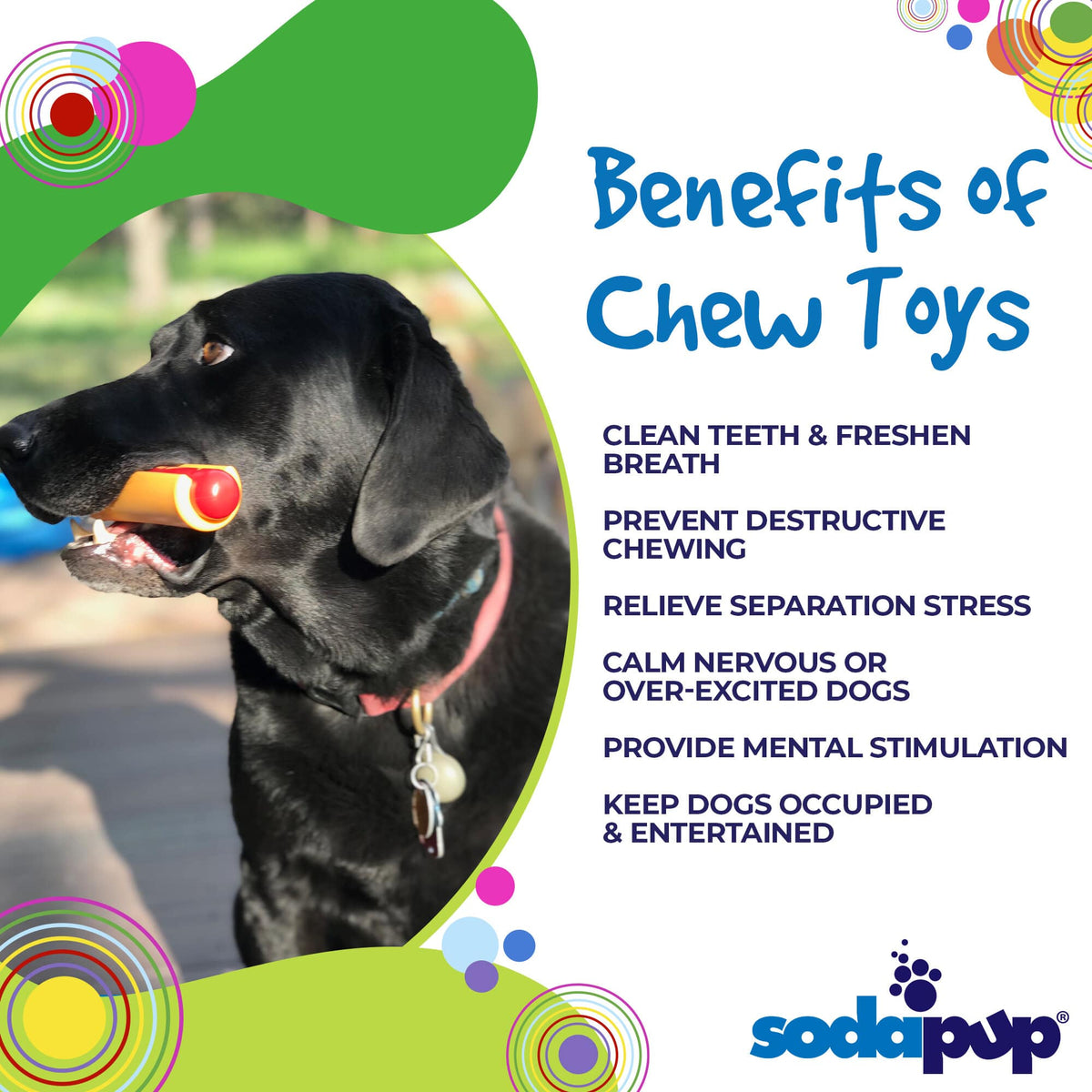 Hot Dog Nylon Dog Toy for Aggressive Chewers | USA Made | SodaPup - SodaPup/True Dogs, LLC - Flyclothing LLC