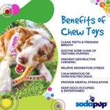 MOD Wishbone Nylon Dog Chew Toy for Aggressive Chewers | USA Made - SodaPup/True Dogs, LLC - Flyclothing LLC