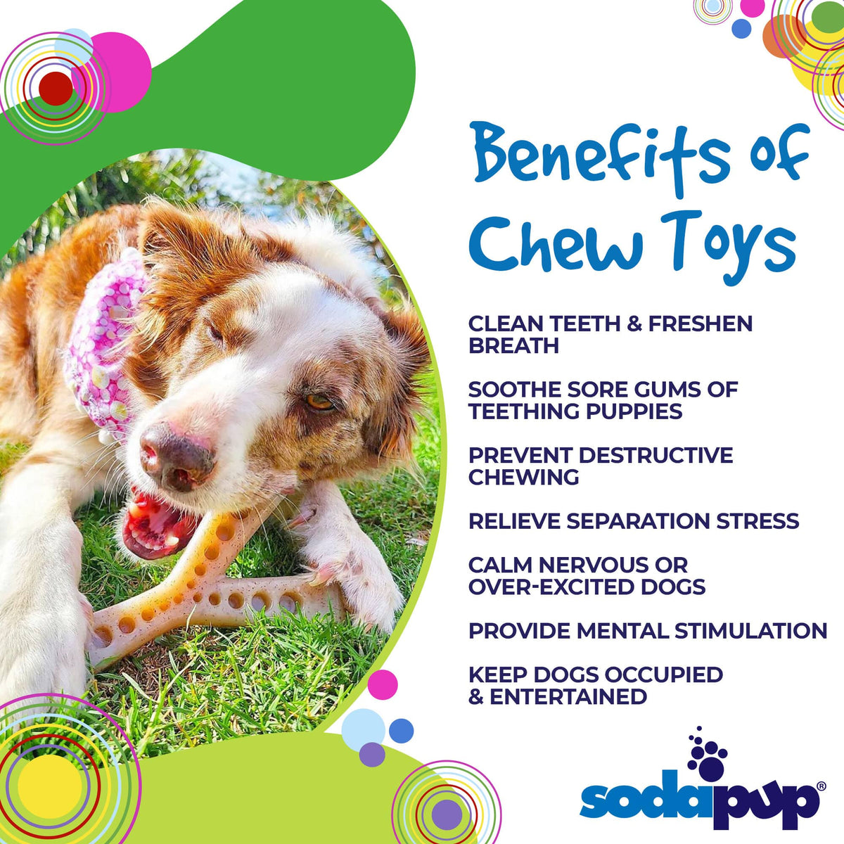 MOD Wishbone Nylon Dog Chew Toy for Aggressive Chewers | USA Made - SodaPup/True Dogs, LLC - Flyclothing LLC