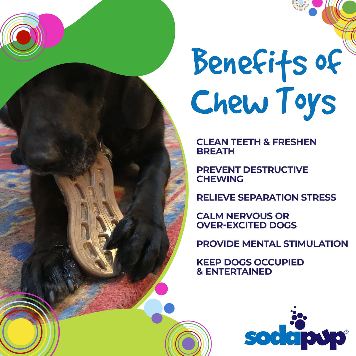 Peanut Nylon Dog Chew Toy | Ultra-Durable for Aggressive Chewers | SodaPup - SodaPup/True Dogs, LLC - Flyclothing LLC