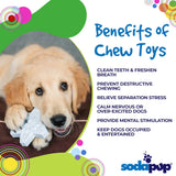 Snowflake Nylon Dog Chew Toy for Aggressive Chewers | USA Made & FDA Compliant - SodaPup/True Dogs, LLC - Flyclothing LLC