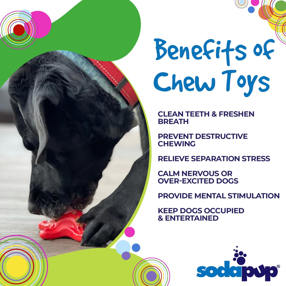 Starfish Nylon Dog Chew Toy for Aggressive Chewers | USA Made | SodaPup - SodaPup/True Dogs, LLC - Flyclothing LLC