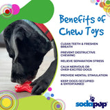 Starfish Nylon Dog Chew Toy for Aggressive Chewers | USA Made | SodaPup - SodaPup/True Dogs, LLC - Flyclothing LLC