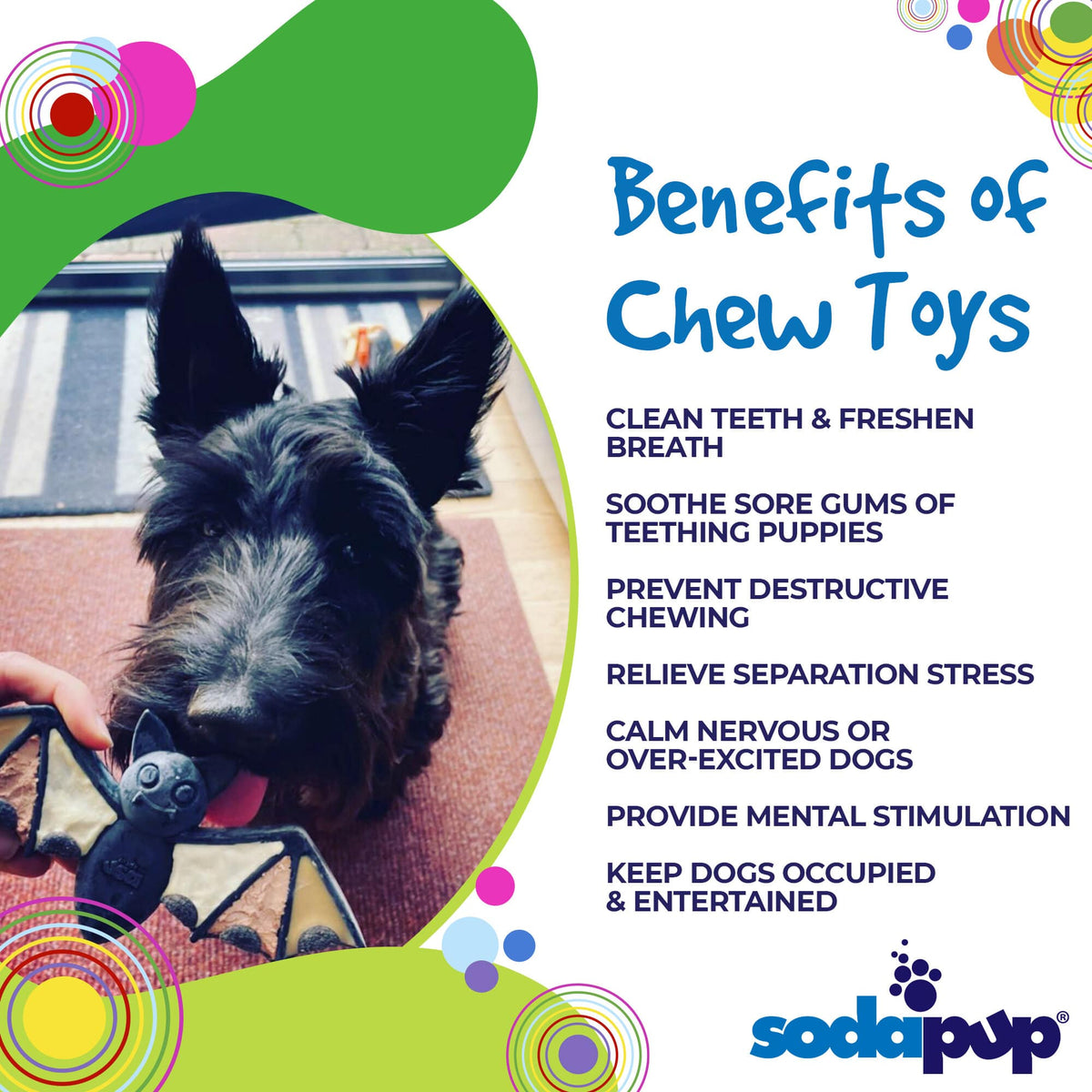 Vampire Bat Nylon Dog Chew Toy for Aggressive Chewers | USA Made & FDA Compliant - SodaPup/True Dogs, LLC - Flyclothing LLC