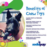 Vampire Bat Nylon Dog Chew Toy for Aggressive Chewers | USA Made & FDA Compliant - SodaPup/True Dogs, LLC - Flyclothing LLC