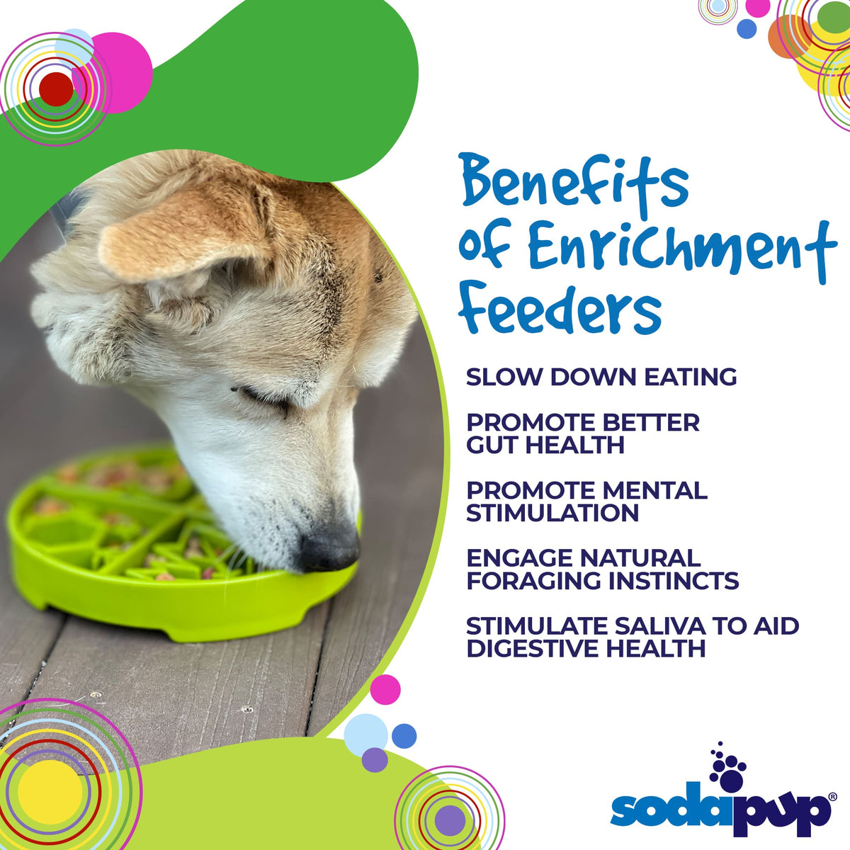 Four Seasons eTray - Shallow Slow Feeder Dog Bowl for Enrichment | USA Made - SodaPup/True Dogs, LLC - Flyclothing LLC
