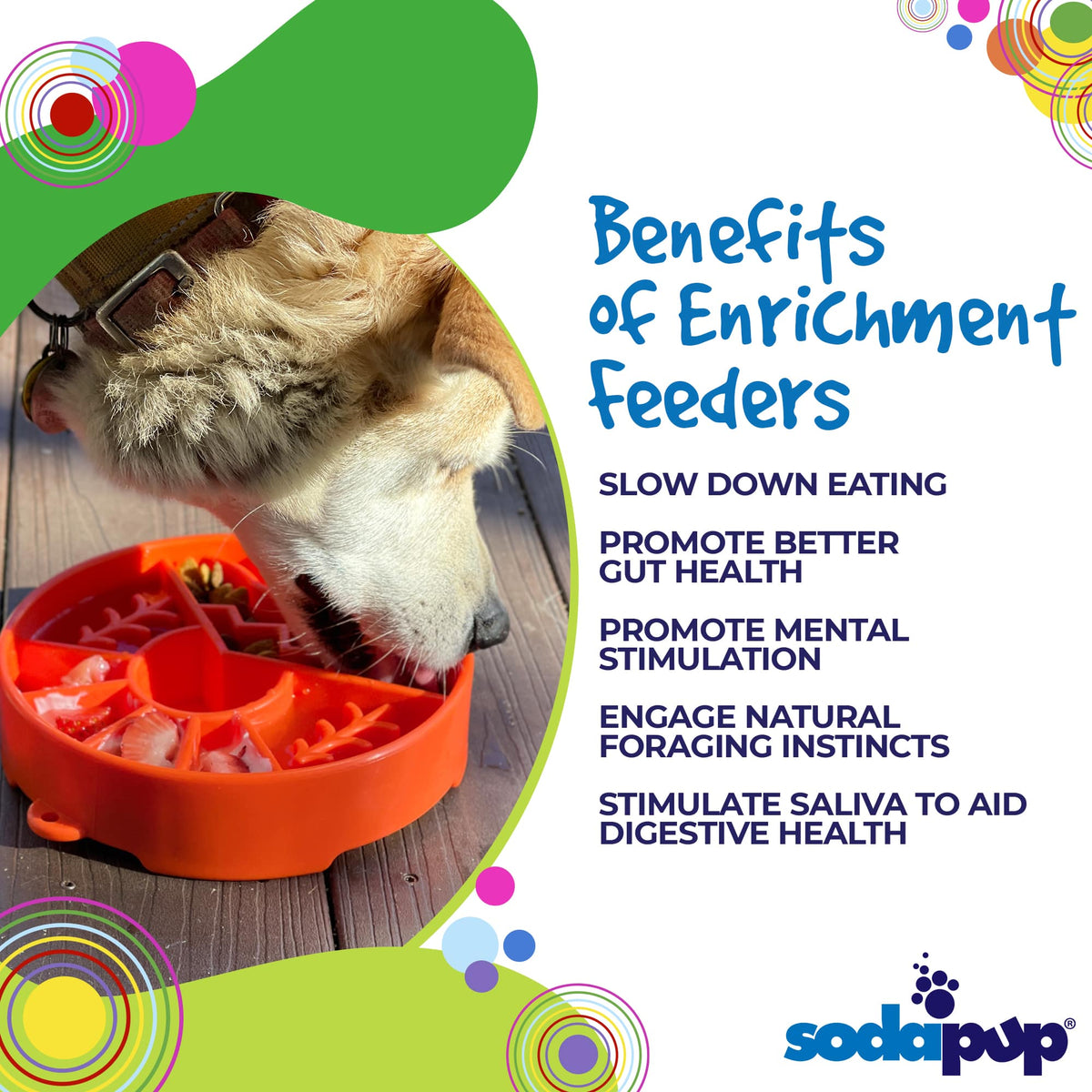 Great Outdoors eBowl - Slow Feeder Dog Bowl & Enrichment | USA Made - SodaPup/True Dogs, LLC - Flyclothing LLC