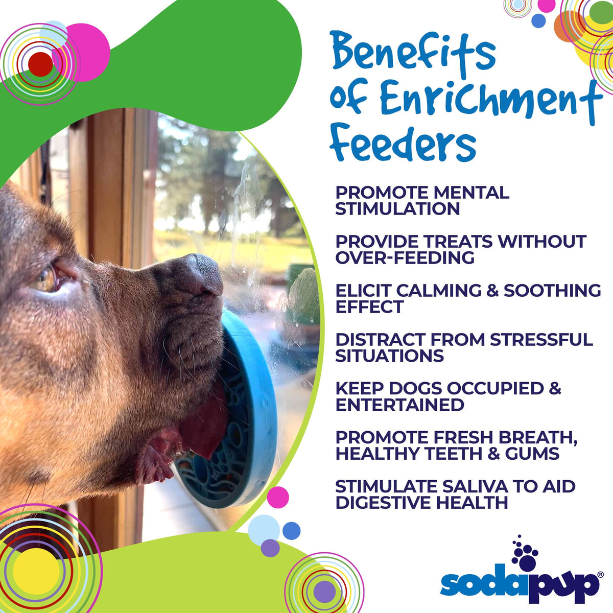 Turtle eMat-Mini Lick Mat with Suction Cups - Small Dogs & Cats | USA - SodaPup/True Dogs, LLC - Flyclothing LLC