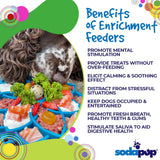Mandala eTray Shallow Slow Feeder Dog Bowl for Enrichment | USA Made - SodaPup/True Dogs, LLC - Flyclothing LLC