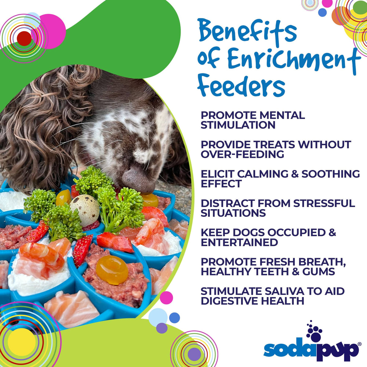Mandala eTray Shallow Slow Feeder Dog Bowl for Enrichment | USA Made - SodaPup/True Dogs, LLC - Flyclothing LLC