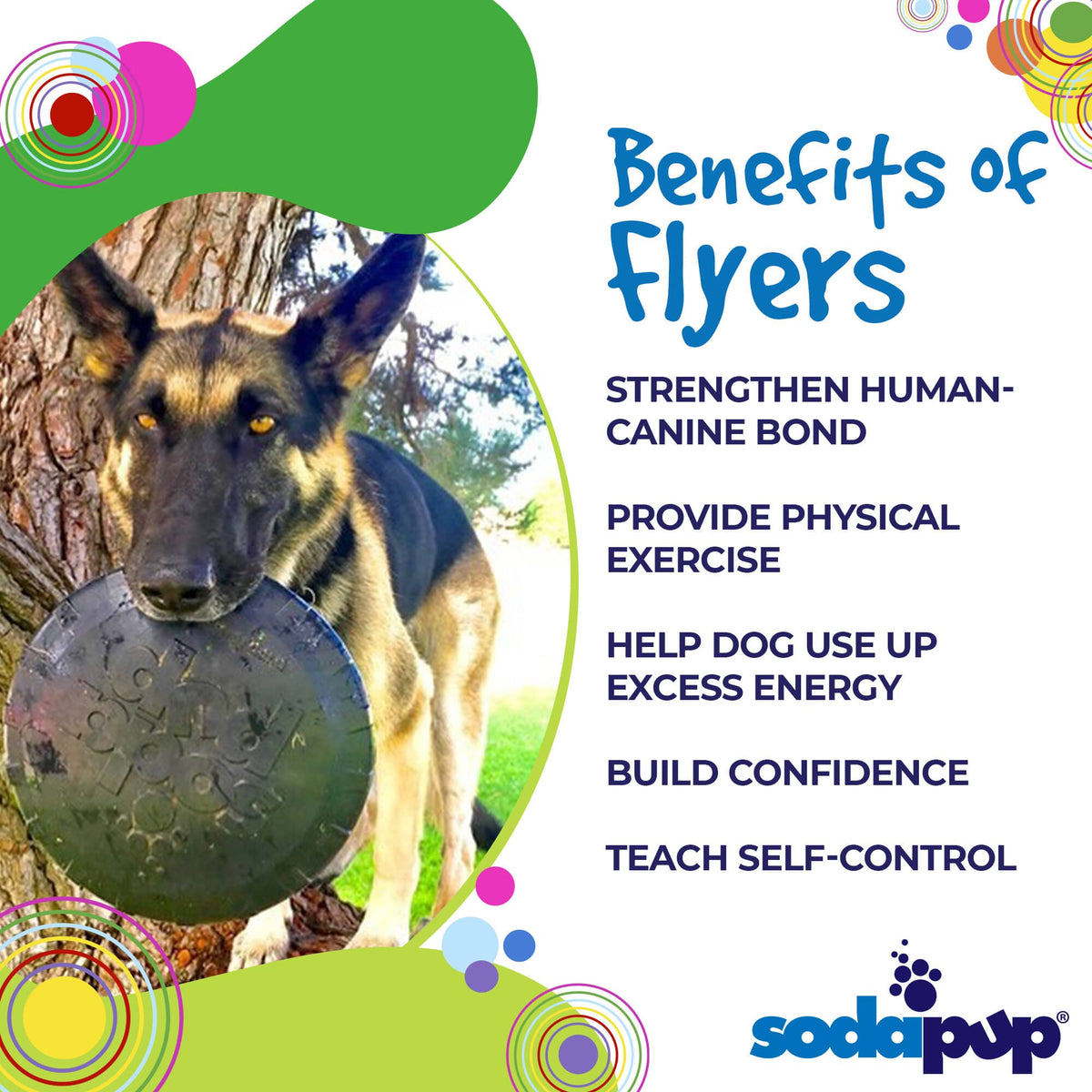 Magnum Bottle Top Flyer Rubber Frisbee for Heavy Chewers | Large | USA Made - SodaPup/True Dogs, LLC - Flyclothing LLC