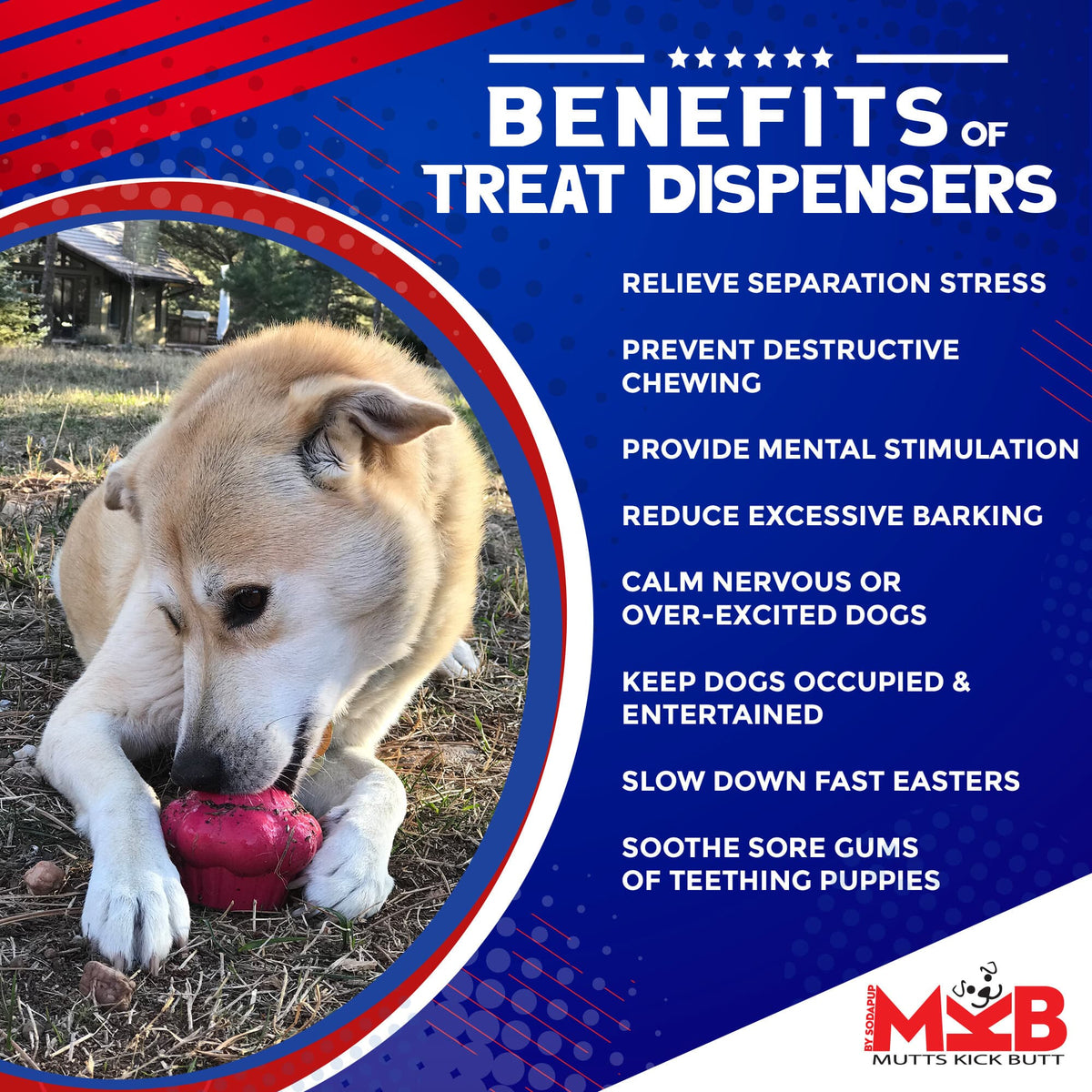 Cupcake eDispenser - Durable Rubber Chew Toy & Treat Dispenser | USA Made - SodaPup/True Dogs, LLC - Flyclothing LLC