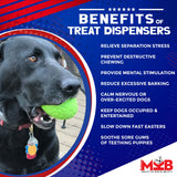 Dinosaur Egg Dog Chew Toy & Treat Dispenser - USA Made | SodaPup - SodaPup/True Dogs, LLC - Flyclothing LLC