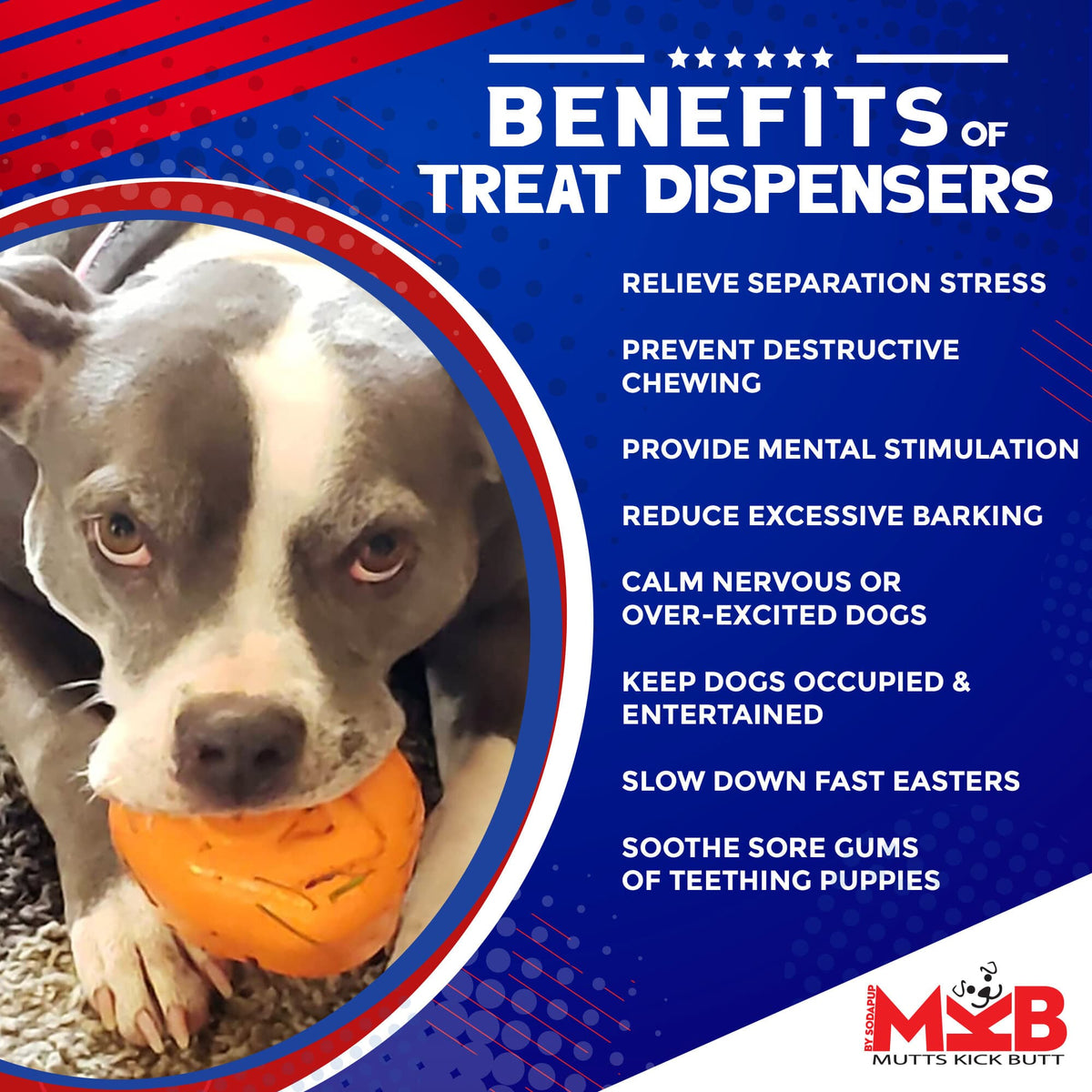Roasted Turkey Dog Chew Toy & Treat Dispenser - USA Made | SodaPup - SodaPup/True Dogs, LLC - Flyclothing LLC