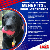 Sugar Skull Dog Chew Toy & Treat Dispenser - USA Made | SodaPup - SodaPup/True Dogs, LLC - Flyclothing LLC