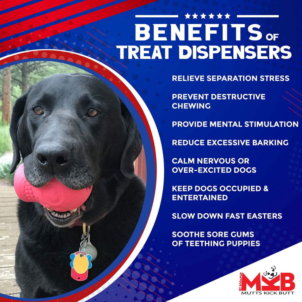 Sugar Skull Dog Chew Toy & Treat Dispenser - USA Made | SodaPup - SodaPup/True Dogs, LLC - Flyclothing LLC
