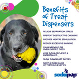 Honey Bear eDispenser - Durable Rubber Treat Dispenser for Dogs | USA Made - SodaPup/True Dogs, LLC - Flyclothing LLC