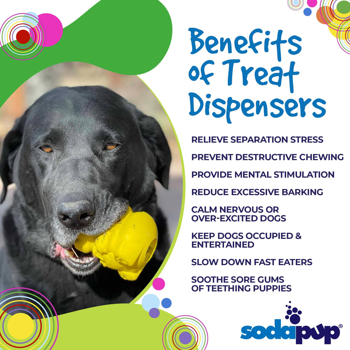 Honey Bear eDispenser - Durable Rubber Treat Dispenser for Dogs | USA Made - SodaPup/True Dogs, LLC - Flyclothing LLC