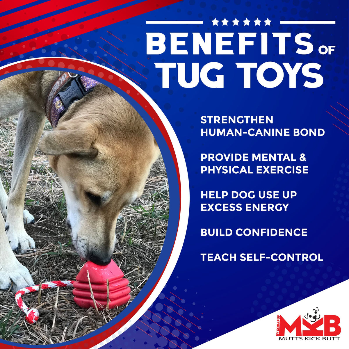 Heart on a String Dog Toy - Durable Rubber Tug Toy for Large Dogs | USA Made - SodaPup/True Dogs, LLC - Flyclothing LLC