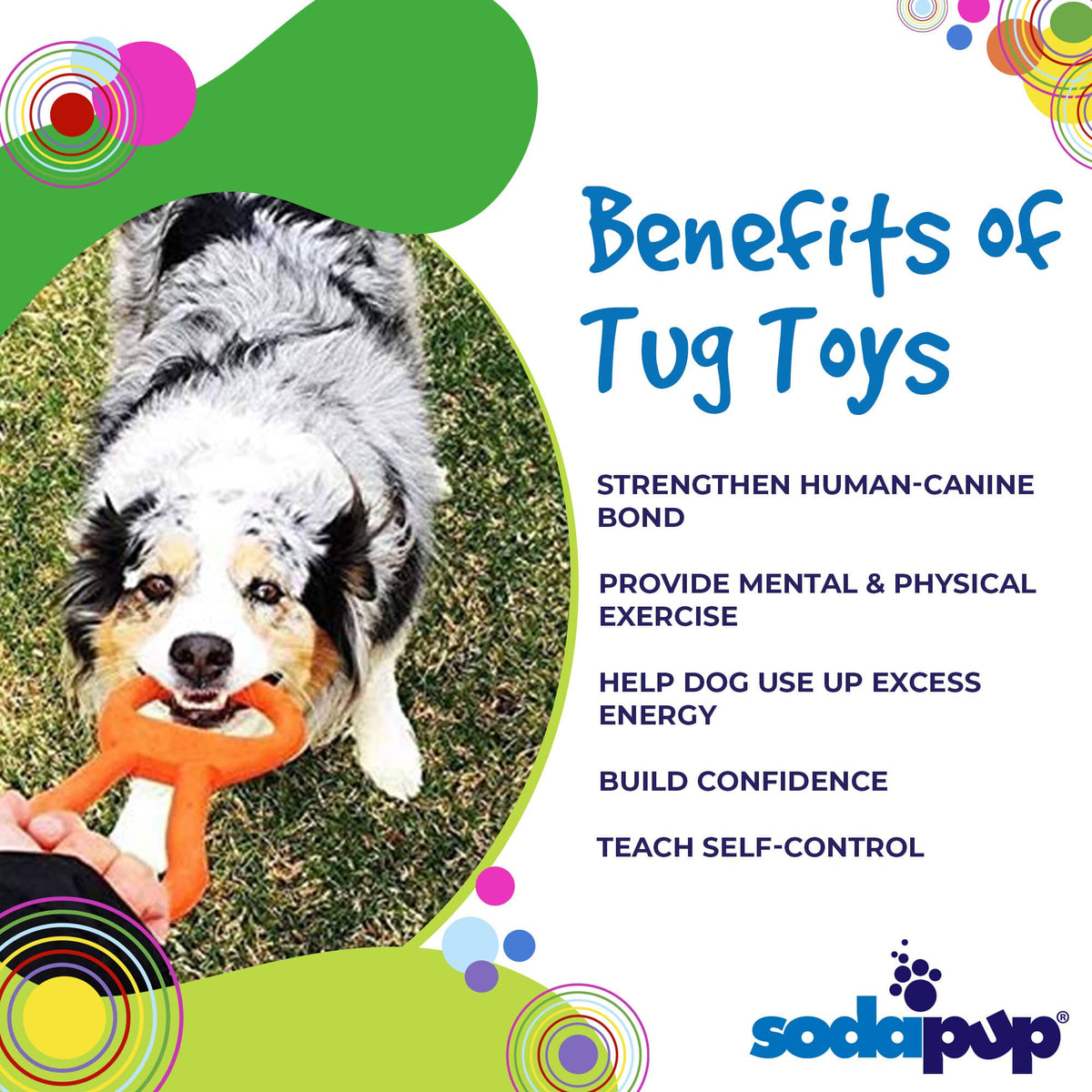 Pop Top Rubber Tug Toy for Interactive Play | Heavy Chewers | USA Made | SodaPup - SodaPup/True Dogs, LLC - Flyclothing LLC
