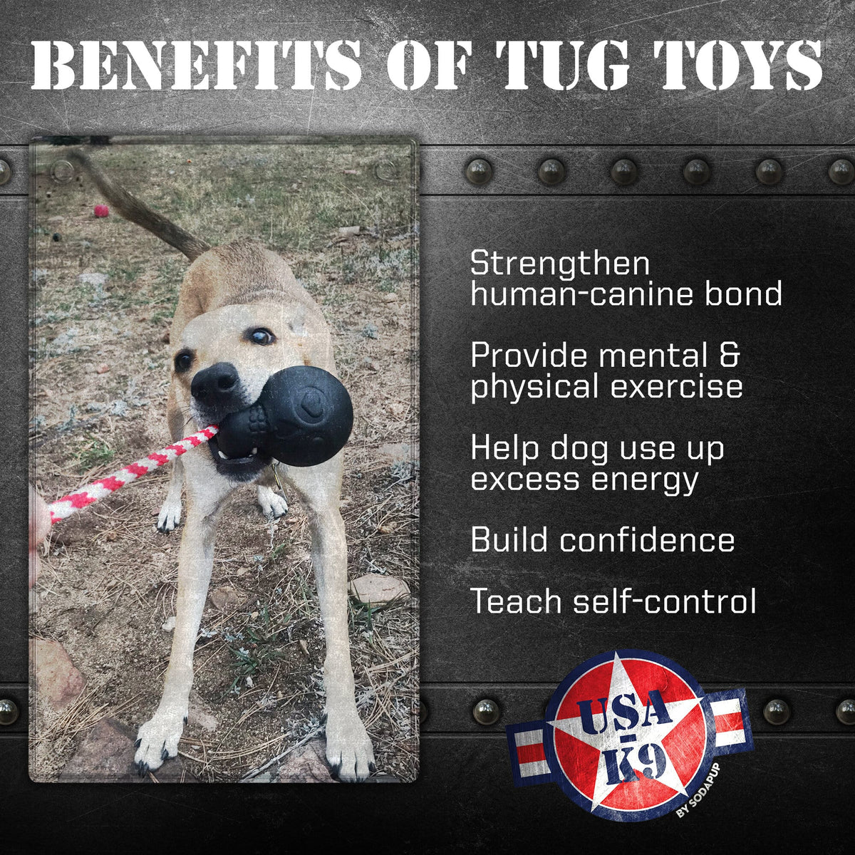 USA-K9 Magnum Skull - Black Magnum Rubber Chew Toy for Extreme Chewers | USA Made - SodaPup/True Dogs, LLC - Flyclothing LLC