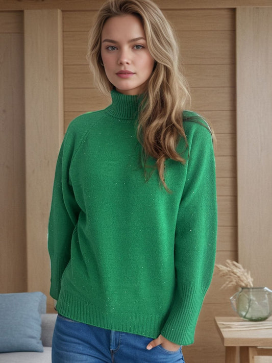Turtleneck Raglan Sleeve Sweater - Trendsi