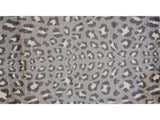 2' X 4' Gray and Brown Cheetah Washable Floor Mat - Homeroots - Flyclothing LLC