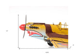 c1941 Curtiss Hawk 81A Sculpture - Homeroots - Flyclothing LLC