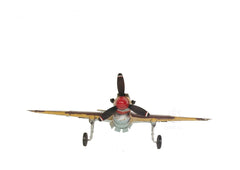 c1941 Curtiss Hawk 81A Large Sculpture - Homeroots
