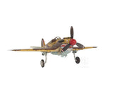 c1941 Curtiss Hawk 81A Large Sculpture - Homeroots - Flyclothing LLC