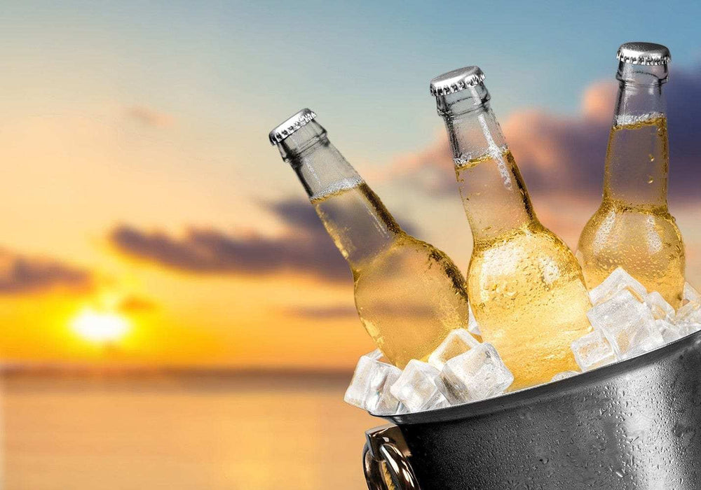 Grand Cru Classe Wine Cooler - Homeroots - Flyclothing LLC