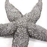 15' Silver Pewter Textured Starfish Wall Art Unframed Textual Art Wall Art - Homeroots - Flyclothing LLC