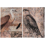 Set of 2 Antique Post Card Birds Wall Art - Homeroots - Flyclothing LLC