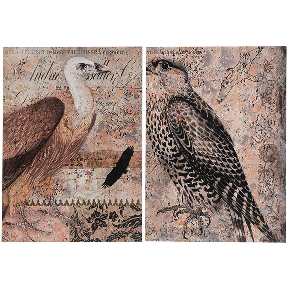 Set of 2 Antique Post Card Birds Wall Art - Homeroots
