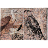 Set of 2 Antique Post Card Birds Wall Art - Homeroots