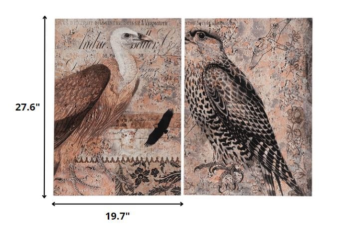Set of 2 Antique Post Card Birds Wall Art - Homeroots