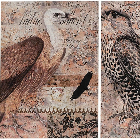 Set of 2 Antique Post Card Birds Wall Art - Homeroots