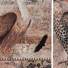 Set of 2 Antique Post Card Birds Wall Art - Homeroots