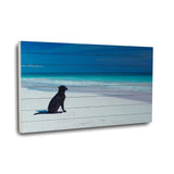 36" Energetic Dog at the Beach Unframed Photograph Wall Art - Homeroots