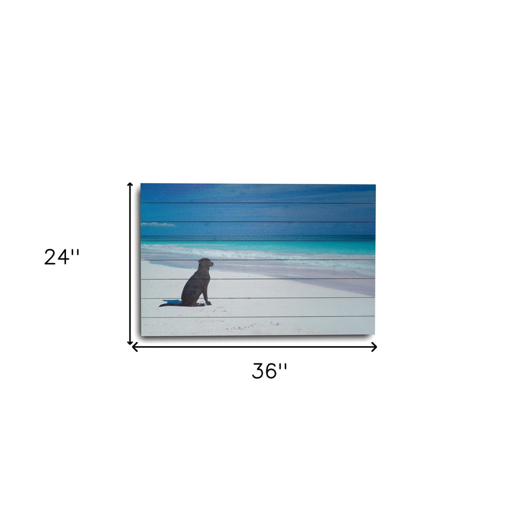 36" Energetic Dog at the Beach Unframed Photograph Wall Art - Homeroots - Flyclothing LLC
