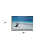 36" Energetic Dog at the Beach Unframed Photograph Wall Art - Homeroots - Flyclothing LLC