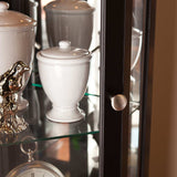 Elegant Black Lighted Curio Cabinet - Homeroots - Flyclothing LLC