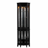 Elegant Black Lighted Curio Cabinet - Homeroots
