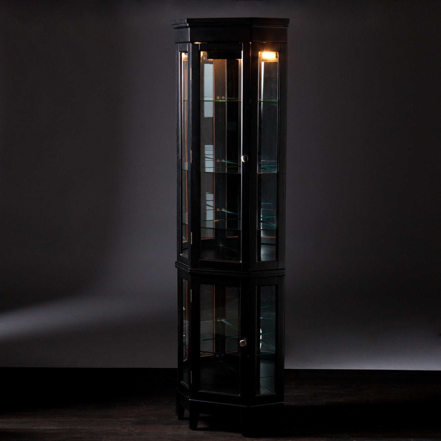 Elegant Black Lighted Curio Cabinet - Homeroots - Flyclothing LLC