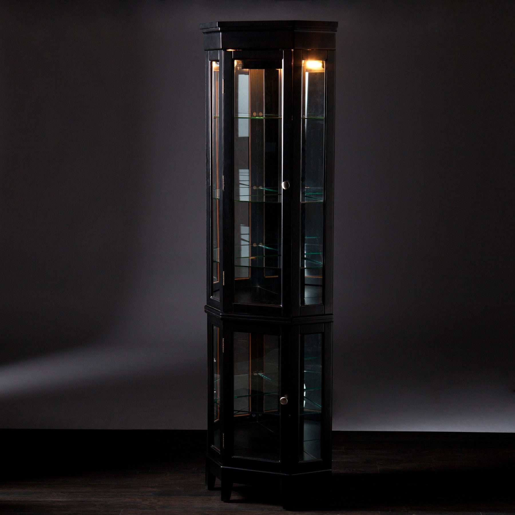 Elegant Black Lighted Curio Cabinet - Homeroots - Flyclothing LLC