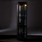 Elegant Black Lighted Curio Cabinet - Homeroots - Flyclothing LLC