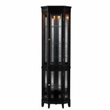 Elegant Black Lighted Curio Cabinet - Homeroots - Flyclothing LLC
