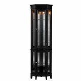 Elegant Black Lighted Curio Cabinet - Homeroots